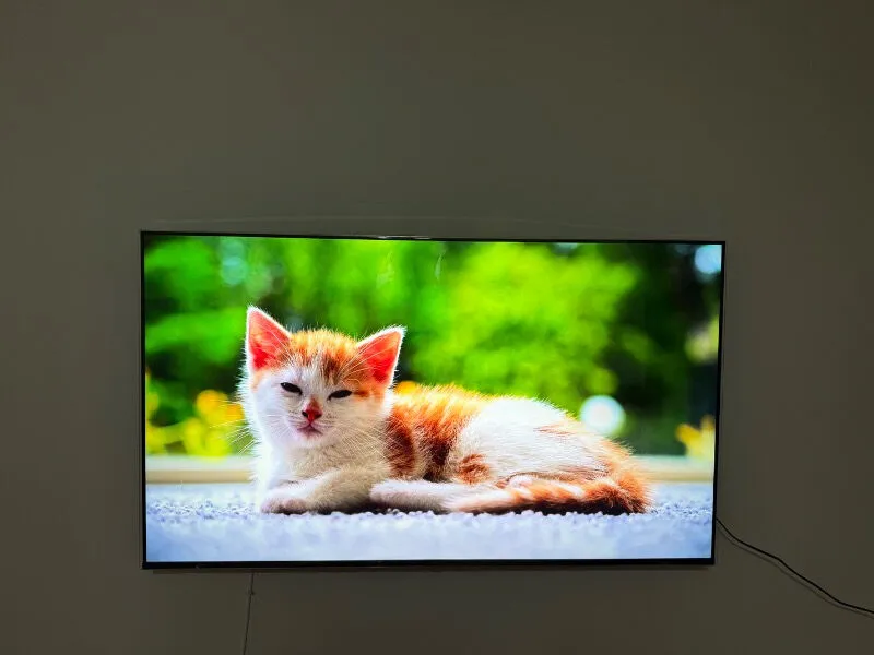 Fehmi Bayramoğulları ürün değerlendirmesi