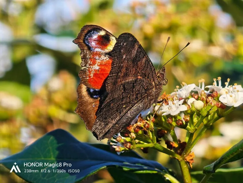İlyas Özkayalı ürün değerlendirmesi